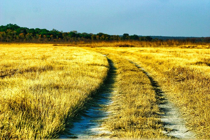 Safari Game Drive in the Savannah with Hotel pickup 3 times daily - The scenic refreshment stop