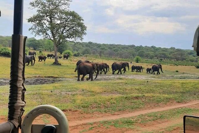 Safari Game Drive in Zambezi National Park - Five minutes from town, then genuine bush
