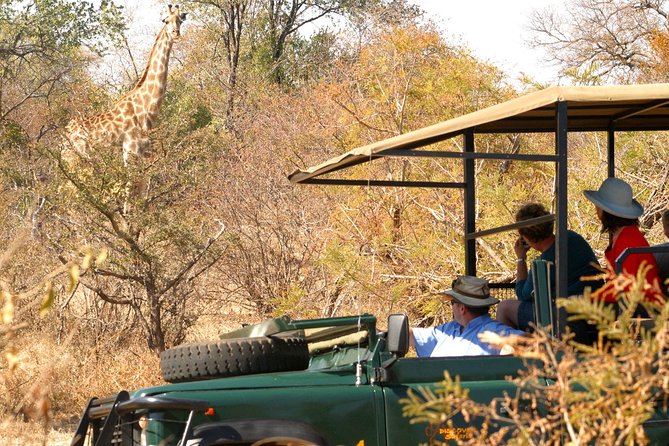 Safari Game Drive in Zambezi National Park with Hotel Pickup - Who will enjoy this game drive most