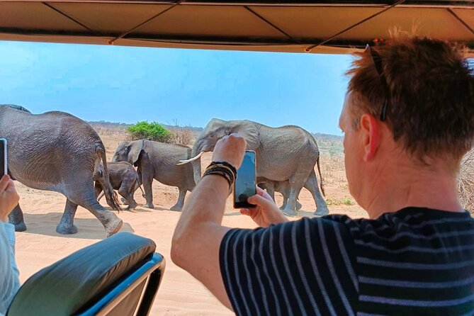 Safari in Victoria Falls and Zambezi National Park - Morning, mid-morning, or afternoon drives