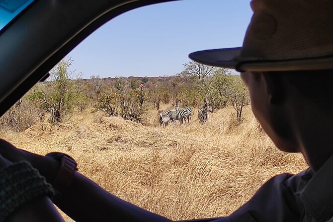 Safari in Victoria Falls and Zambezi National Park - Searching for elephants, buffalo, hippos, and cats