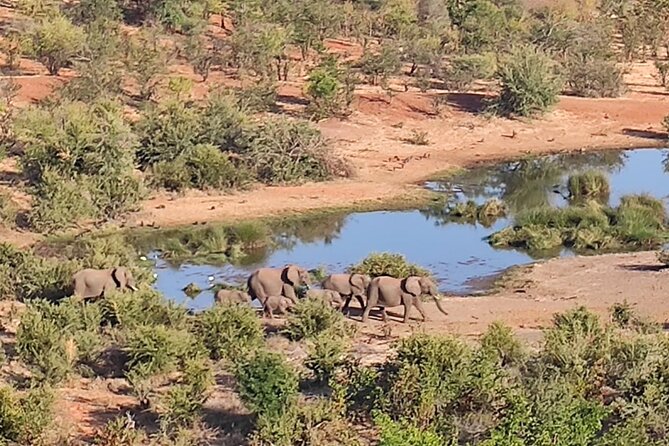 Safari in Victoria Falls and Zambezi National Park - A tea break with fruit in the bush
