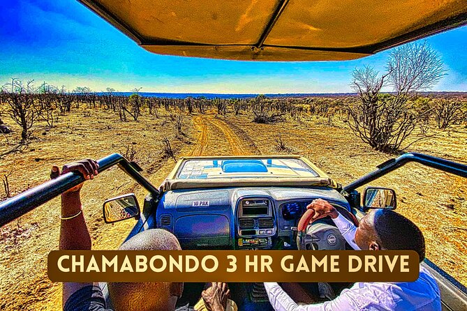Safari in Victoria Falls and Zambezi National Park - Is $119 a fair price?