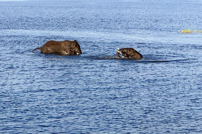 Shearwater River Song Luxury River Cruise - Timing, pickup, and practical planning