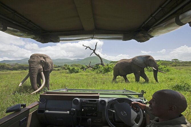 Small Group: Zambezi National Park Guided Game Drive - The open 4x4 makes the difference