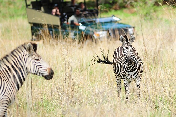Small Group: Zambezi National Park Guided Game Drive - Guides who add meaning to the sightings