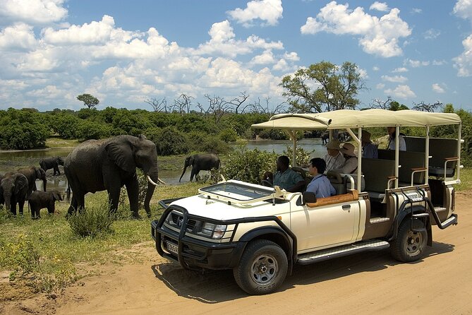 Small Group: Zambezi National Park Guided Game Drive - How much value do you get for $120?