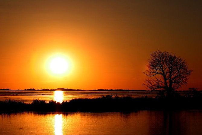 Standard Sunset Cruise - Wildlife to watch for along the Zambezi