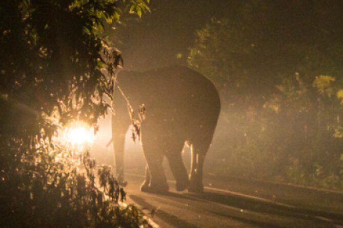 Stargazing and Moonlight Experience - Why nighttime changes Victoria Falls