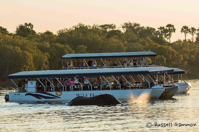 Sundowner Cruise on Zambezi River (Zimbabwe) - Key points to know before booking