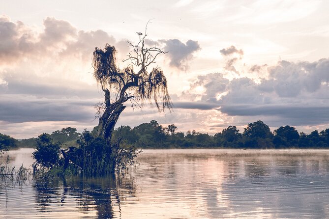 Sunrise Cruise on the Zambezi River - Cruising the upper Zambezi toward the falls