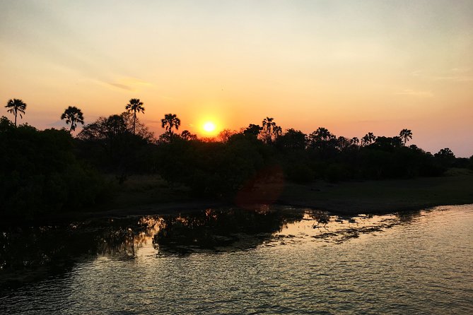 Sunset Cruise Wildlife Watching Experience at Zambezi River - From hotel pickup to the river