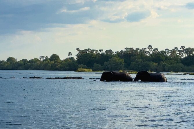 Sunset Cruises on the Zambezi River from Victoria Falls - Sunset is the reliable highlight