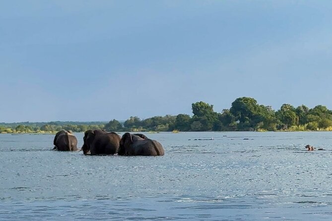 Sunset Cruises on the Zambezi River from Victoria Falls - Who will enjoy this cruise most