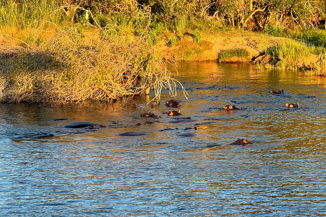 Sunset Cruises on the Zambezi River from Victoria Falls - Boarding the Zambezi with a choice of decks