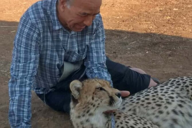 The Cheetah Experience - Meeting the Cheetahs Outside Victoria Falls