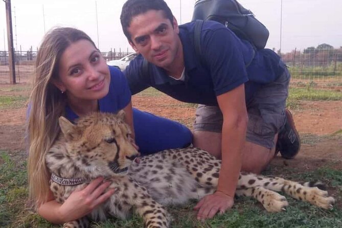 The Cheetah Experience - The Hotel Pickup and Zambezi National Park Drive
