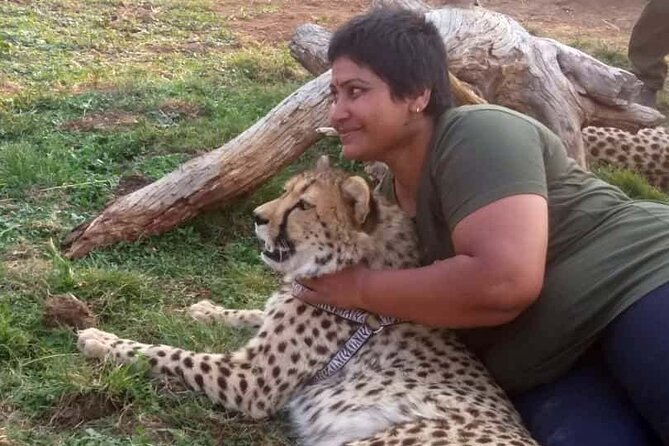 The Cheetah Experience - The Conservation Lesson Behind the Encounter