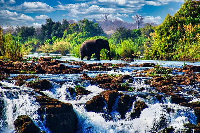 Unique Safari Game Drives in Zambezi National Park, 4 Options - Key points to know before booking