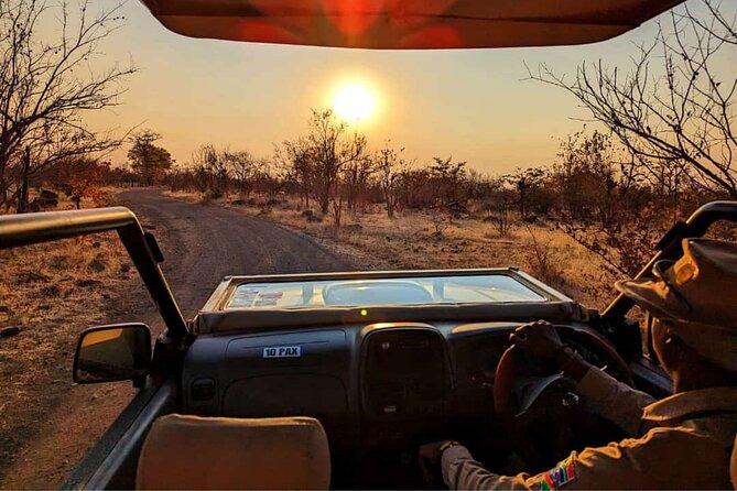 Unique Safari Game Drives in Zambezi National Park, 4 Options - Choosing among the four safari options