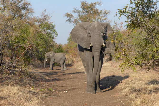 Upper Zambezi Canoeing - Who Should Book This Canoe Safari?