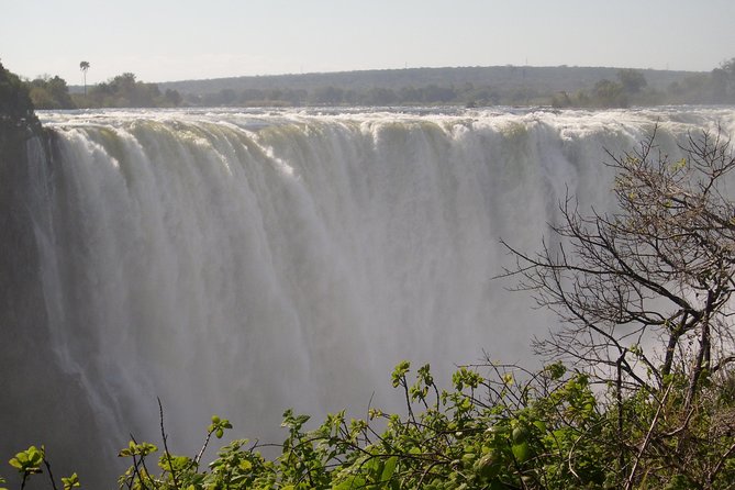 Victoria Falls And Chobe - Day 3: A long safari day in Chobe National Park