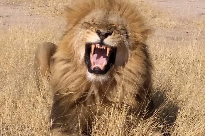 Victoria Falls And Chobe - Accommodation, meals, and what the price really covers