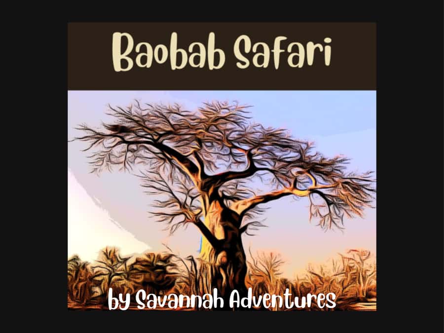 Victoria Falls: Baobab Safari - Sunrise and Mid Morning - Leaving Victoria Falls in an open safari vehicle