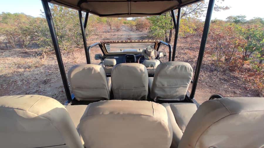 Victoria Falls: Baobab Safari - Sunrise and Mid Morning - A brief view into the Zambezi gorge