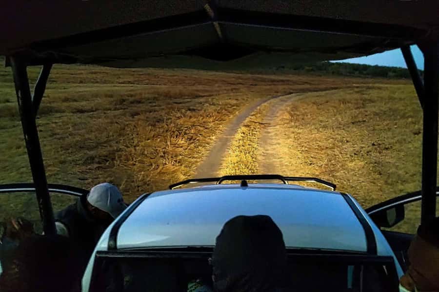 Victoria Falls: Bush Experience and Stargazing D-F-ES-GB - A Night Safari With Two Very Different Acts