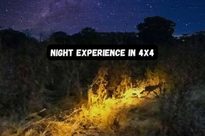 Victoria Falls: Bush Experience and Stargazing D-F-ES-GB