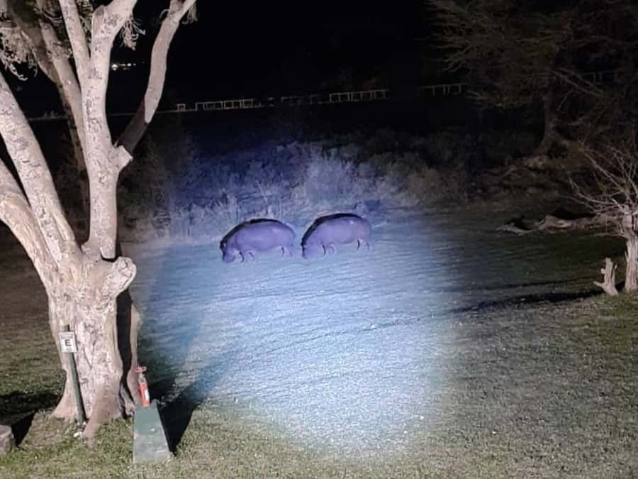 Victoria Falls: Bush Experience and Stargazing D-F-ES-GB - What the Two-Hour Schedule Really Gives You