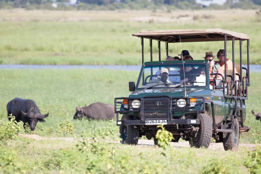 Victoria Falls: Chobe National Park Day Trip with Lunch - Key points before you book