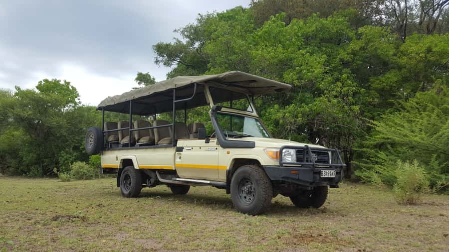 Victoria Falls: Chobe National Park Day Trip with Lunch - Who should book this day trip?