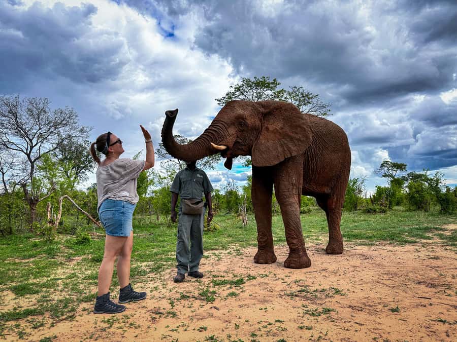 Victoria Falls: Elecrew Through The Eyes Of An Elephant - Key points to know before you book