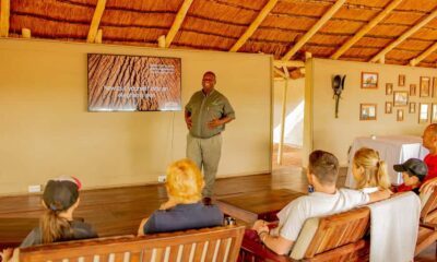 Victoria Falls: Elecrew Through The Eyes Of An Elephant