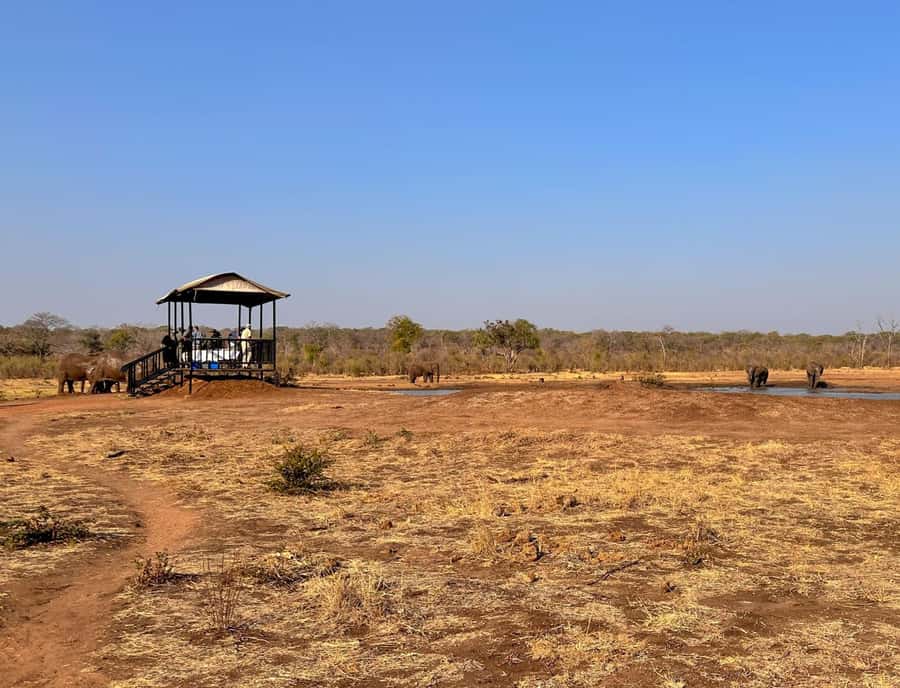 Victoria Falls: Elecrew Through The Eyes Of An Elephant - The walk and the value of a slower pace