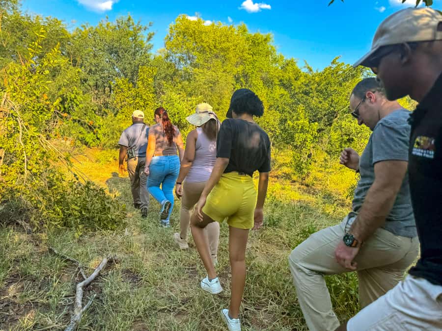 Victoria Falls: Game Walk in the Zambezi National Park - Key points to know before you book