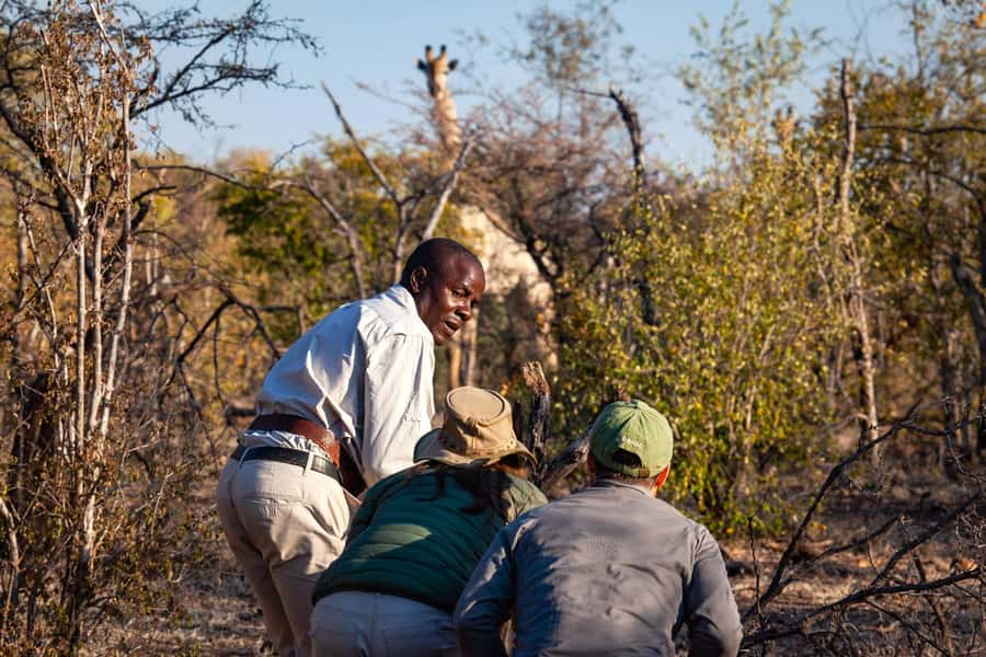 Victoria Falls: Game Walk in the Zambezi National Park - Why a walking safari feels different