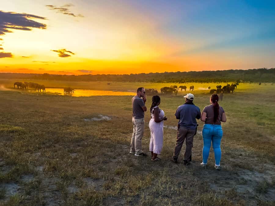 Victoria Falls: Game Walk in the Zambezi National Park - Elephants, buffalo, antelope, and birds