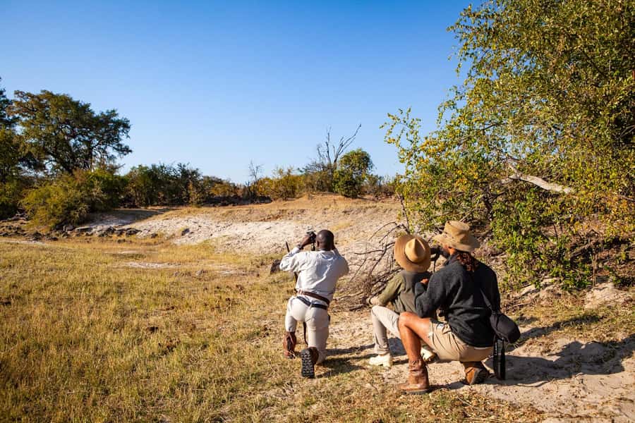 Victoria Falls: Game Walk in the Zambezi National Park - Afternoon walks and sunset drinks
