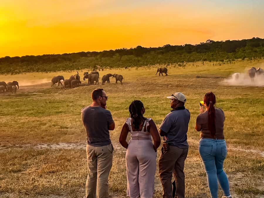 Victoria Falls: Game Walk in the Zambezi National Park - Clothing, cameras, and comfort