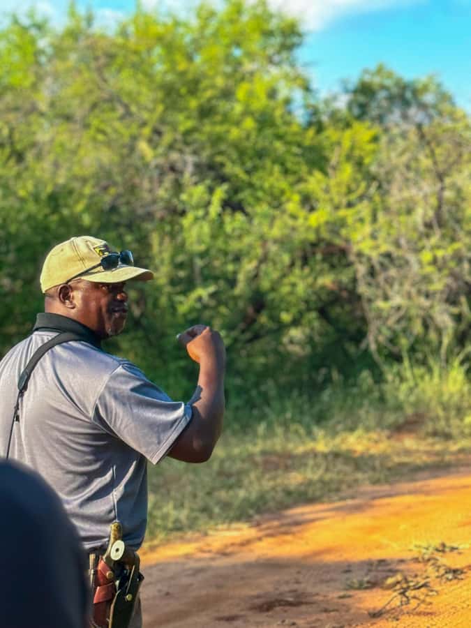 Victoria Falls: Game Walk in the Zambezi National Park - Safety and the right mindset