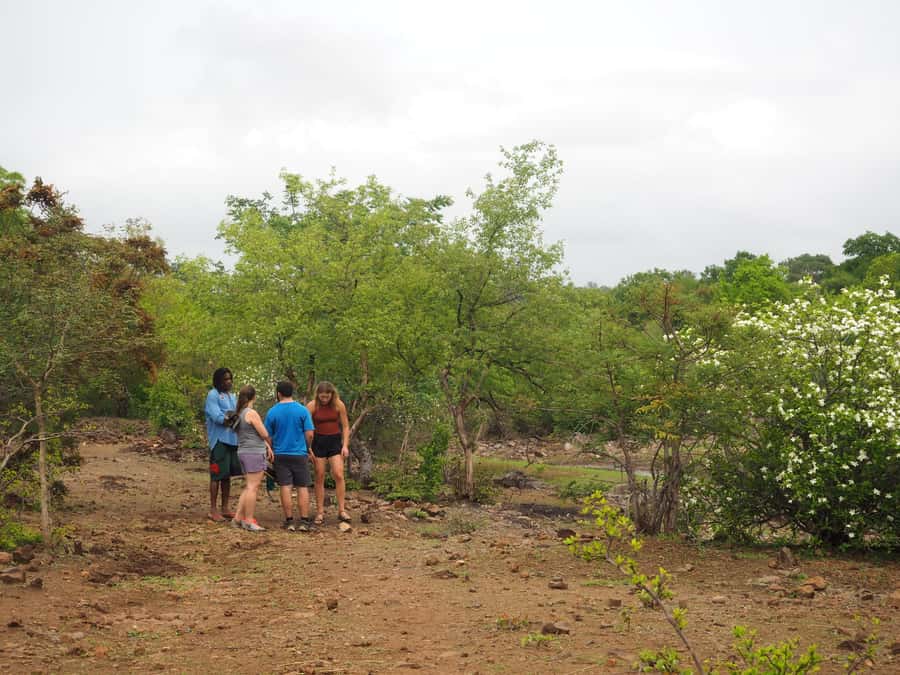 Victoria Falls Gorge Hike & Farm to Table Village Lunch - Who will enjoy this most?