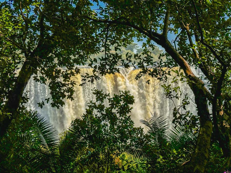 Victoria Falls: Guided Tour of the Victoria Falls - Key points at a glance