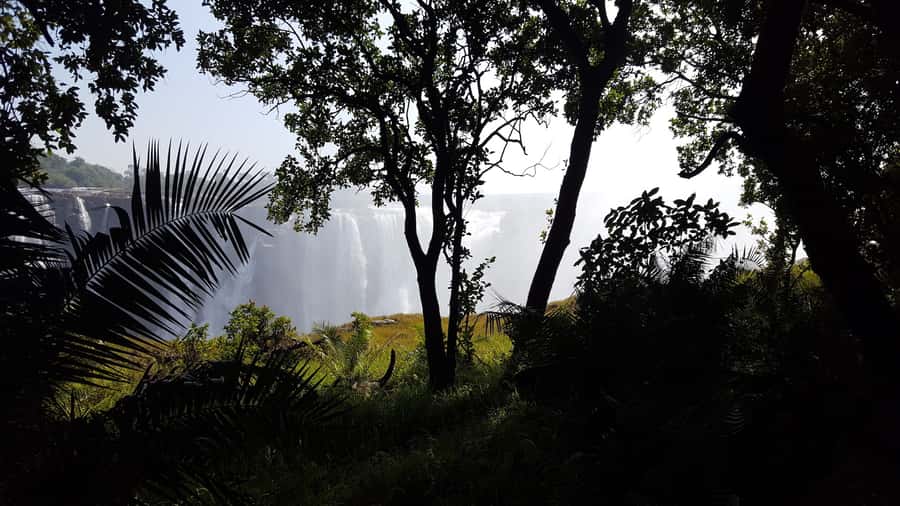 Victoria Falls: Guided Walking Tour - Pickup from Victoria Falls hotels