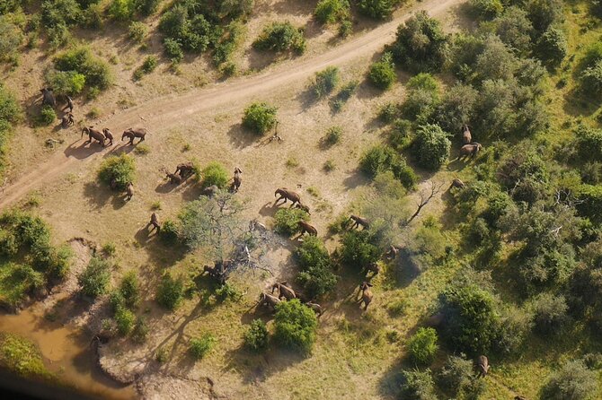 Victoria Falls Helicopter Tour - The 25-minute game flight
