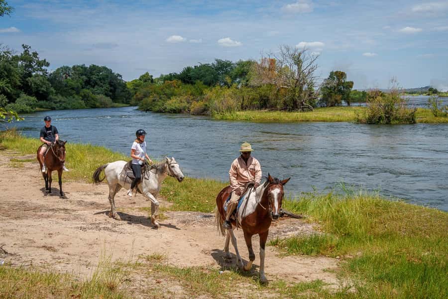 Victoria Falls National Park: Horseback Safari - Key points to know before you ride
