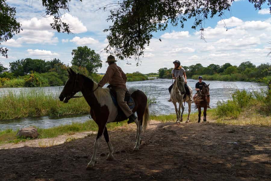 Victoria Falls National Park: Horseback Safari - Getting ready for the four-hour ride