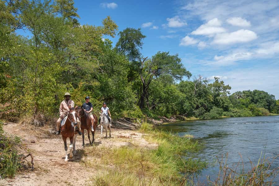 Victoria Falls National Park: Horseback Safari - Riding through the bushveld near the Zambezi